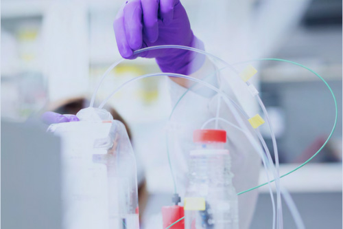 En person med lila skyddshandskar på ett mediciniskt labb