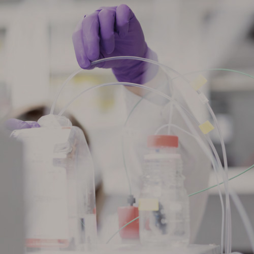 En person i ett labb med lila handskar