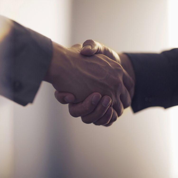 Två personer skakar hand